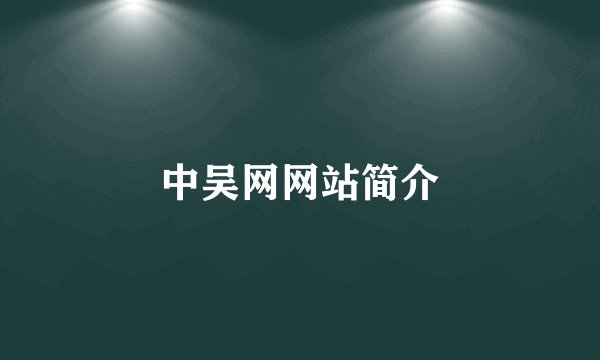 中吴网网站简介
