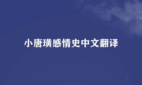 小唐璜感情史中文翻译