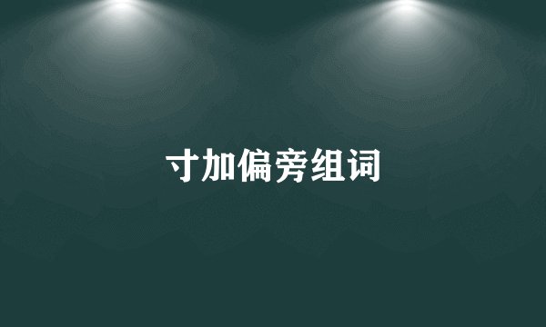 寸加偏旁组词
