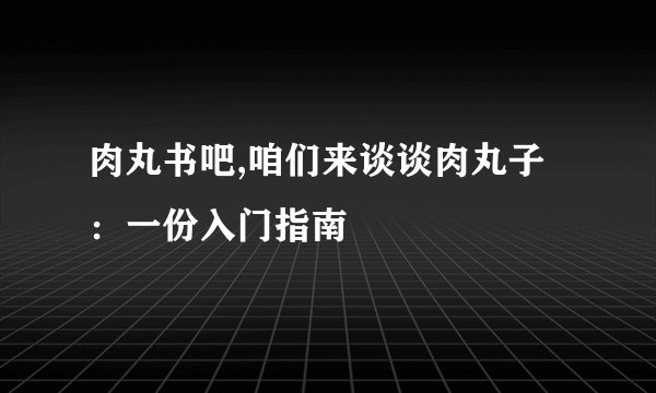 肉丸书吧,咱们来谈谈肉丸子：一份入门指南