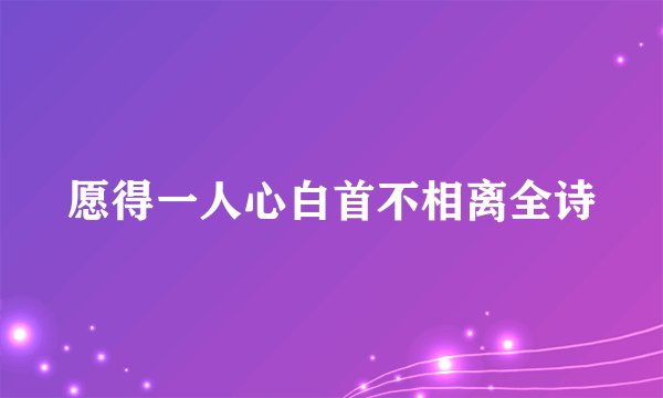 愿得一人心白首不相离全诗