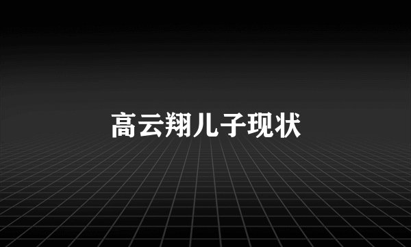 高云翔儿子现状