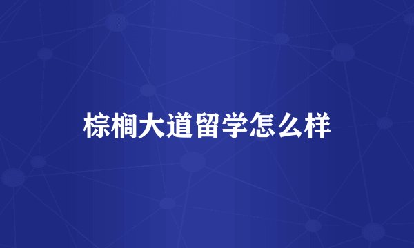 棕榈大道留学怎么样