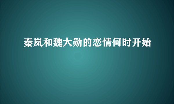 秦岚和魏大勋的恋情何时开始