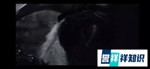 《切尔诺贝利》第四集剧评——子代母亡