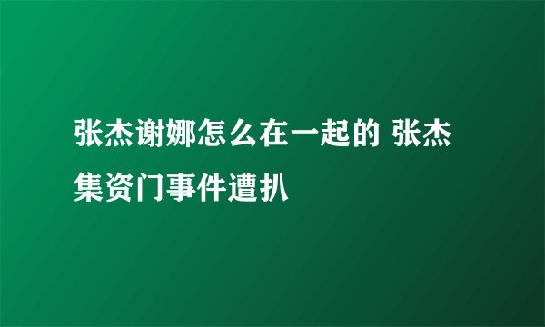 张杰谢娜怎么在一起的 张杰集资门事件遭扒