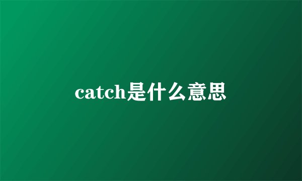 catch是什么意思