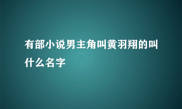 有部小说男主角叫黄羽翔的叫什么名字