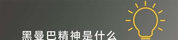 黑曼巴精神是什么