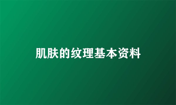 肌肤的纹理基本资料