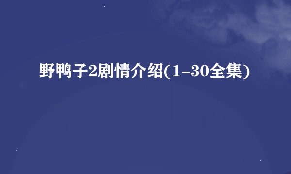 野鸭子2剧情介绍(1-30全集)