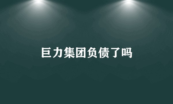 巨力集团负债了吗