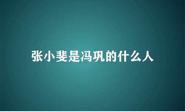 张小斐是冯巩的什么人