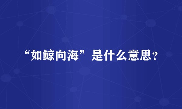 “如鲸向海”是什么意思？