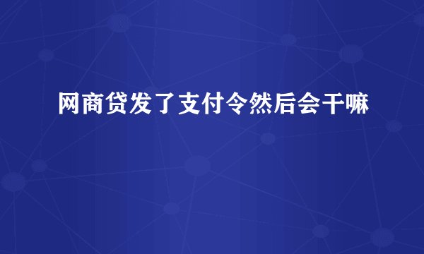 网商贷发了支付令然后会干嘛
