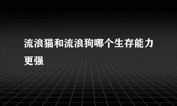 流浪猫和流浪狗哪个生存能力更强