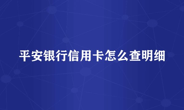 平安银行信用卡怎么查明细