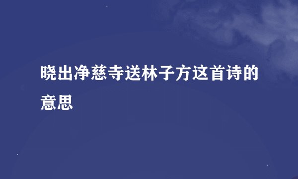 晓出净慈寺送林子方这首诗的意思