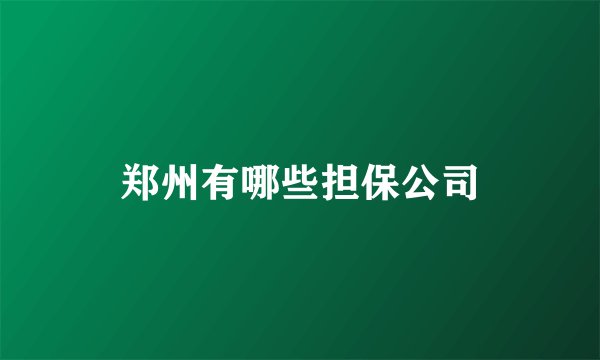 郑州有哪些担保公司