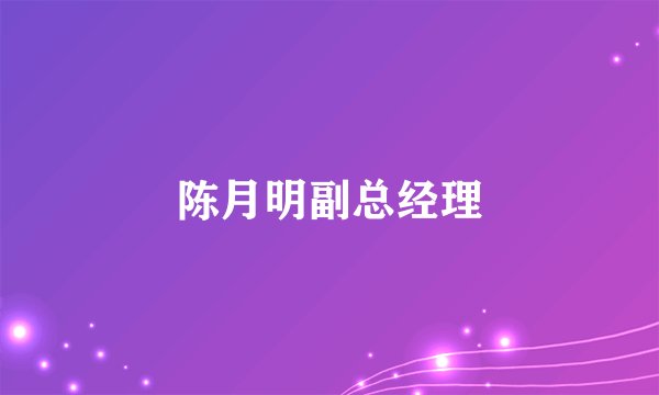 陈月明副总经理