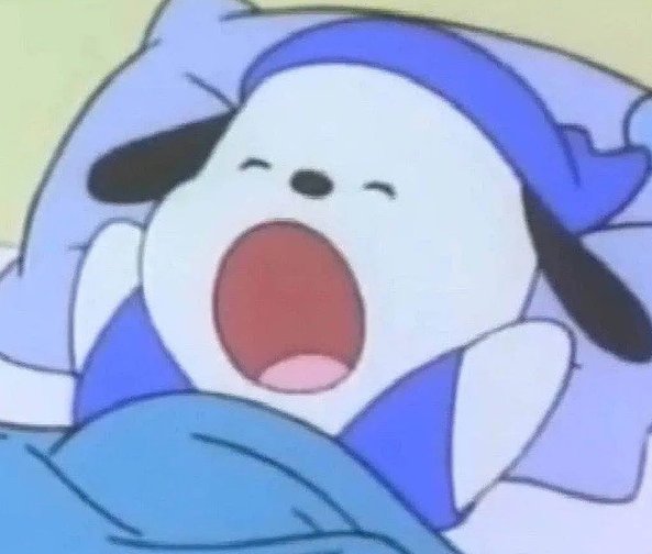 帕恰狗是女的还是男的？