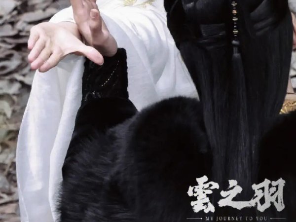 云之羽大结局