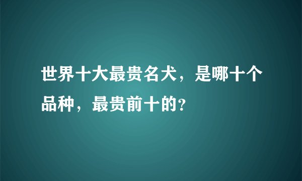 世界十大最贵名犬，是哪十个品种，最贵前十的？