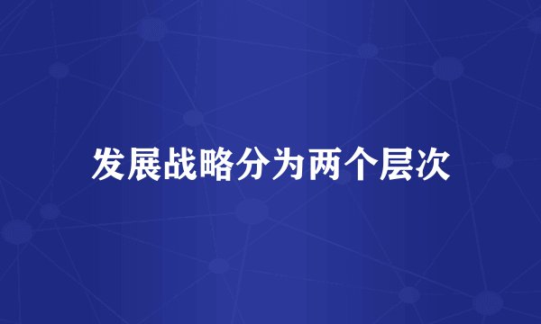 发展战略分为两个层次
