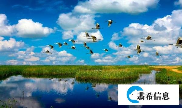 中国政府网:6月起 这些新规将影响你我生活