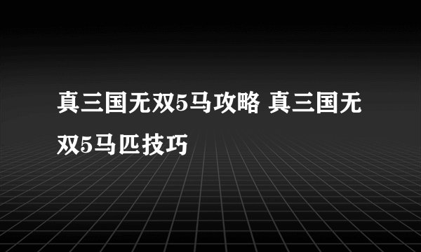 真三国无双5马攻略 真三国无双5马匹技巧