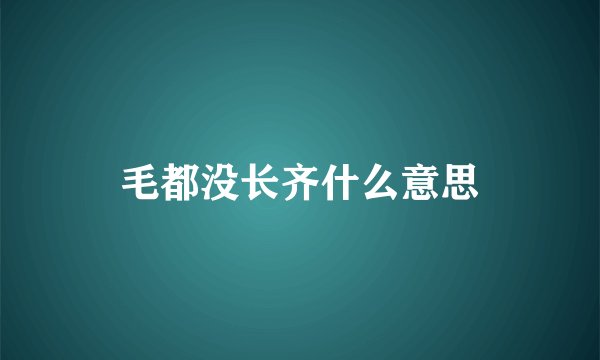 毛都没长齐什么意思