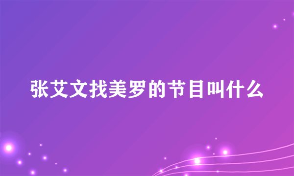 张艾文找美罗的节目叫什么