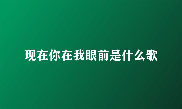 现在你在我眼前是什么歌