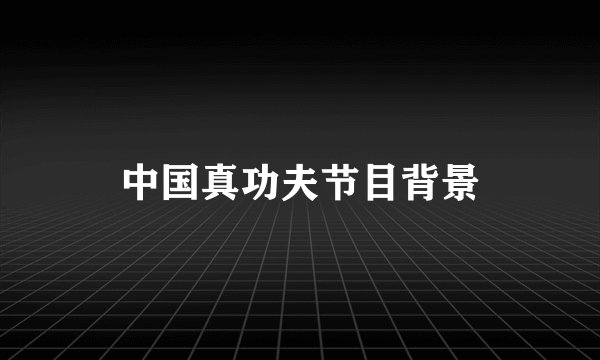 中国真功夫节目背景