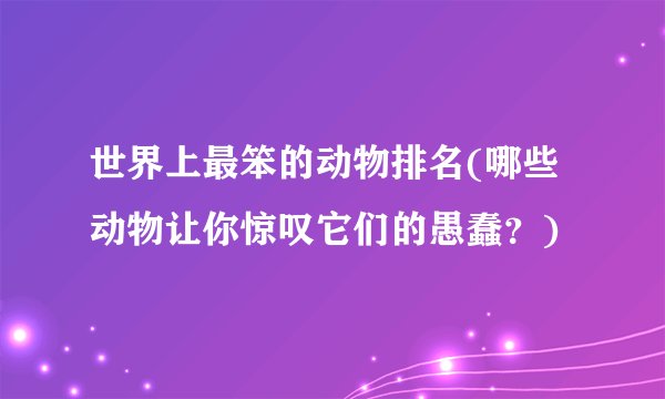 世界上最笨的动物排名(哪些动物让你惊叹它们的愚蠢？)