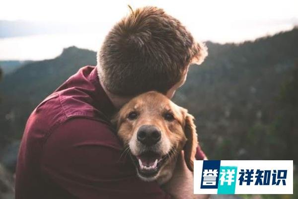 男人消费力首次超过狗了?这到底该不该高兴?