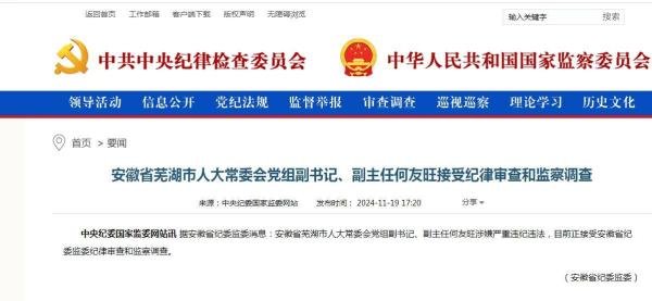 何友旺严重违纪违法被查，一个昔日的大能人就这样倒下了