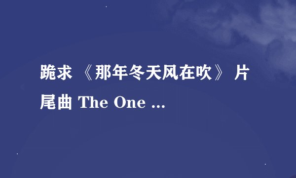 跪求 《那年冬天风在吹》 片尾曲 The One - 冬季爱情 的歌词谐音。