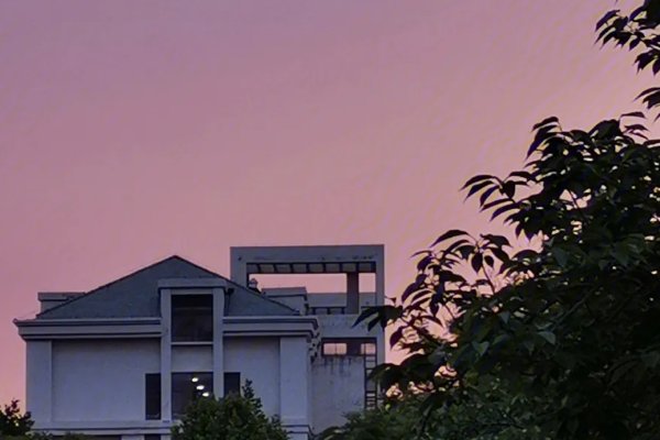 临沂大学2023投档线