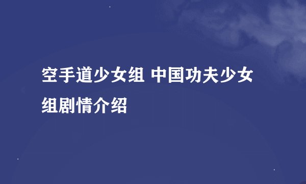 空手道少女组 中国功夫少女组剧情介绍