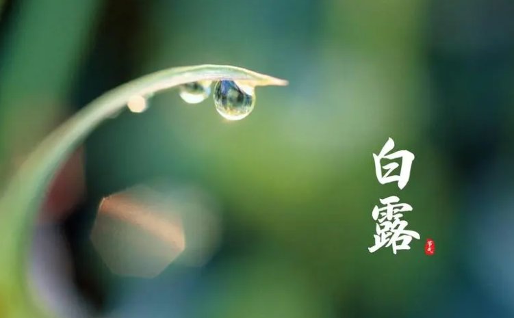 白露是深秋还是初秋