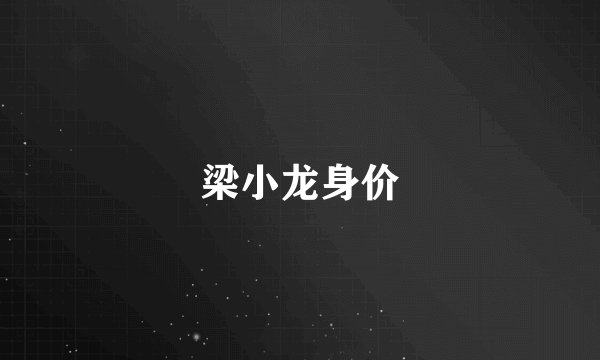 梁小龙身价