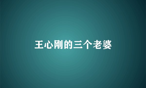 王心刚的三个老婆