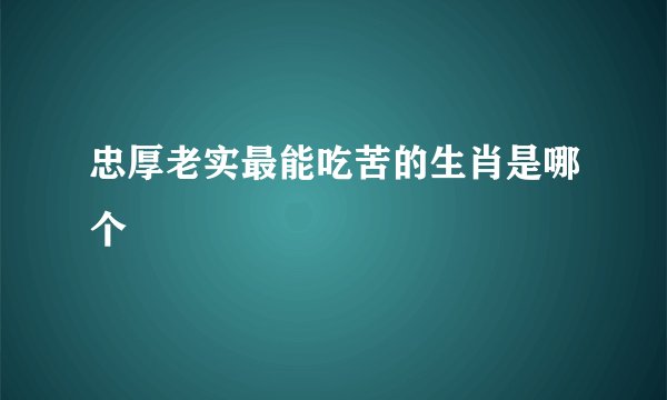 忠厚老实最能吃苦的生肖是哪个