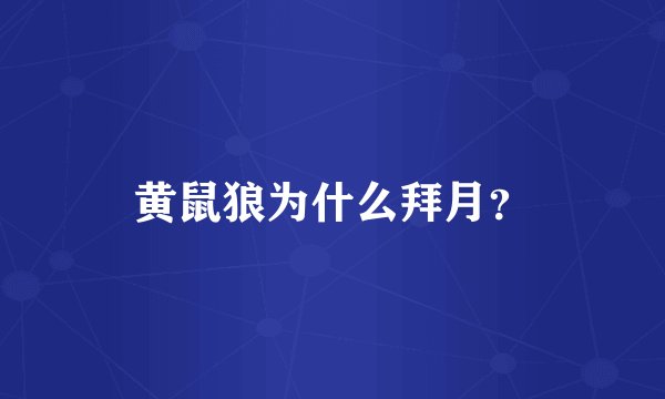 黄鼠狼为什么拜月？