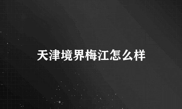 天津境界梅江怎么样