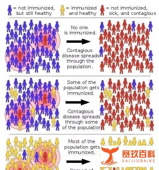 英国“群体免疫”是什么意思？