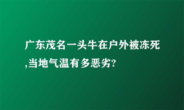 广东茂名一头牛在户外被冻死,当地气温有多恶劣?