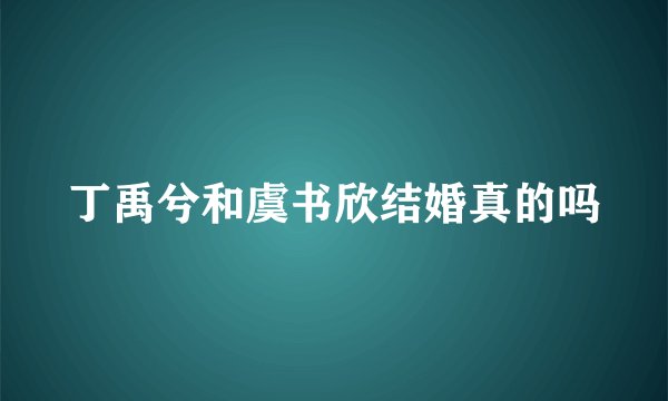 丁禹兮和虞书欣结婚真的吗