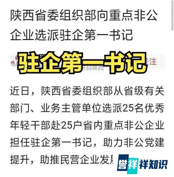陕西向民企派驻第一书记!企业有被“充公”的危险吗?